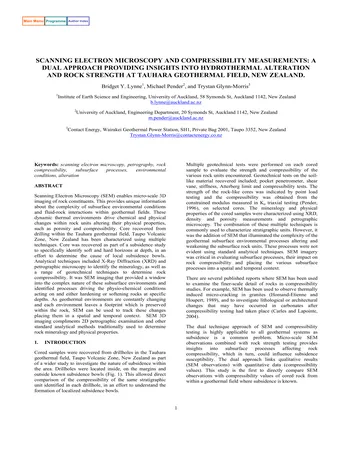 Más sobre Microscopía Electrónica de Barrido y Medición de la Compresibilidad: Un Enfoque Dual que Proporciona Información.